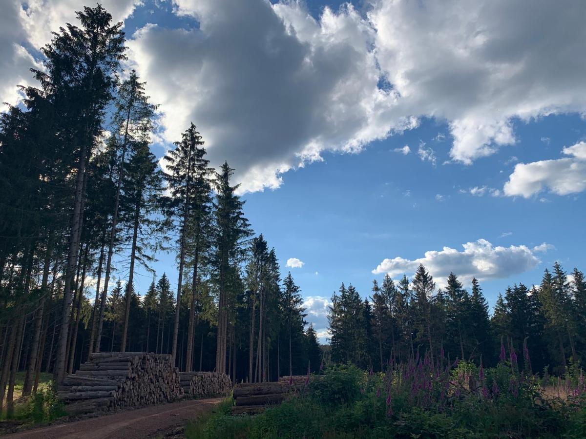 FaFeWo Ferienwohnungen mit Sternekomfort in Tanne Harz Exterior foto
